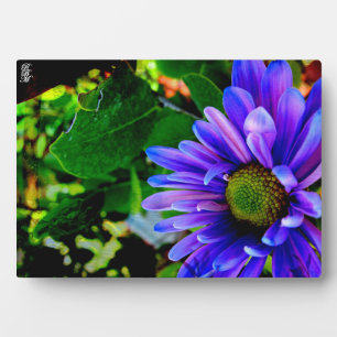 Helle violette Blume Fotoplatte
