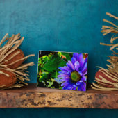 Helle violette Blume Fotoplatte (Seite)