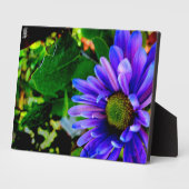Helle violette Blume Fotoplatte (Seite)