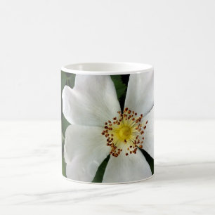 helle weiße Blume Kaffeetasse