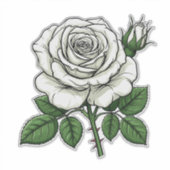 Helle weiße Rose Aufkleber (Vorderseite)