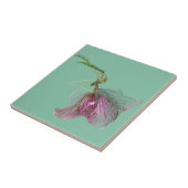 Hellebore-Blume auf tadellosem grünem Türkis Fliese (Seite)