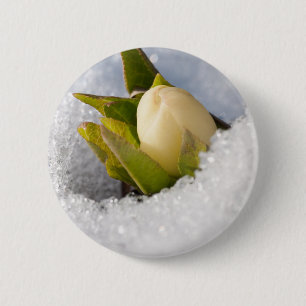 Hellebore, die durch den Schnee wachsen, Button