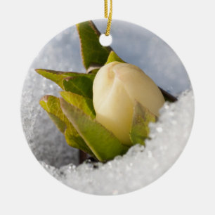 Hellebore, die durch den Schnee wachsen, Keramik Ornament