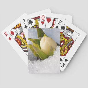 Hellebore, die durch den Schnee wachsen, Spielkarten