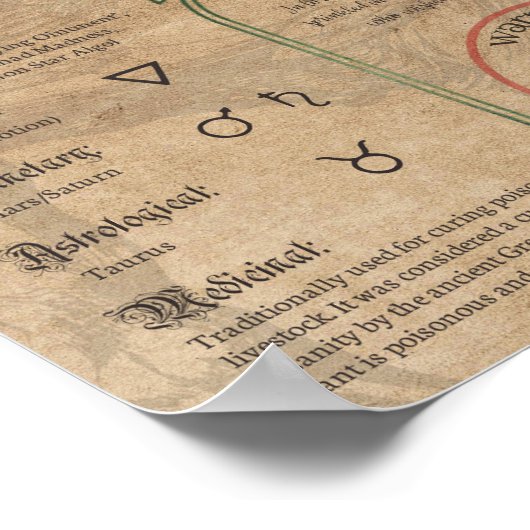 Hellebore Herbal Buch Schatten Pagan Wiccan Poster (Ecke)