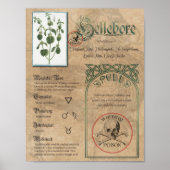 Hellebore Herbal Buch Schatten Pagan Wiccan Poster (Vorne)