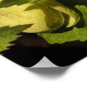 Hellebore Lenten Rose Poster (Ecke)