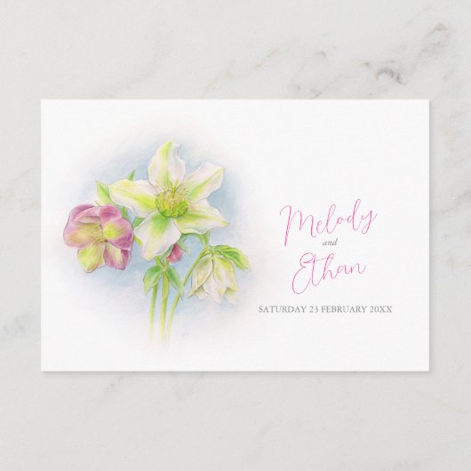 Hellebore Wasserfarbe Frühlingsdetails Begleitkarte (Rückseite)