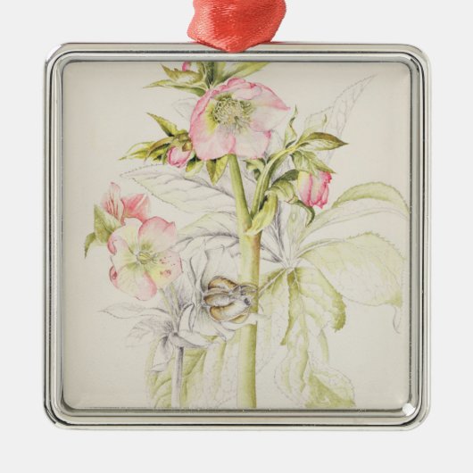 Hellebores Ornament Aus Metall (Vorne)