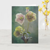 Helleborkarte Karte (Gelbe Blume)