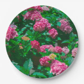 Helleborus Blume - Weihnachtsfeier Rose Pappteller (Vorderseite)