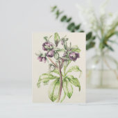 Helleborus Orientalis von Helen Ballard Postkarte (Stehend Vorderseite)