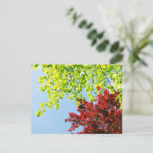 Heller Baum färbt Postkarte (Stehend Vorderseite)