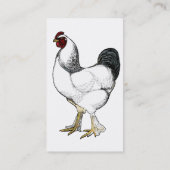 Heller Brahma Hahn-Vintager Land-Klassiker Visitenkarte (Rückseite)