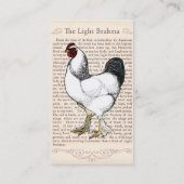 Heller Brahma Hahn-Vintager Land-Klassiker Visitenkarte (Rückseite)