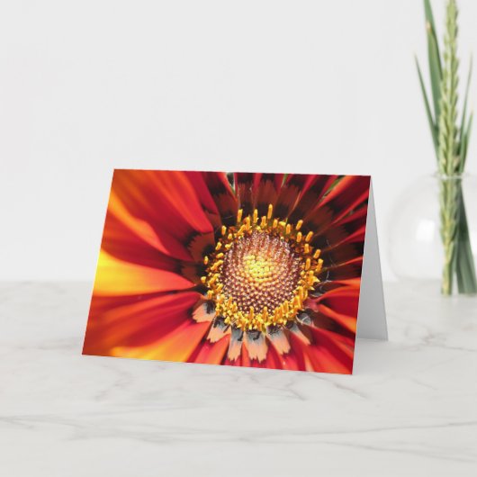 Heller Funken Karte (Vorderseite)