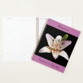 Heller Lily Planer (Anzeige)