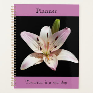 Heller Lily Planer