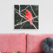 Heller nördlicher Kardinal Leinwanddruck (Insitu (Wohnzimmer))