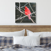 Heller nördlicher Kardinal Leinwanddruck (Insitu (Schlafzimmer))
