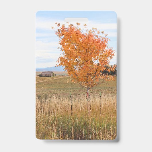 Heller Oktober Ausweis (Vorderseite)