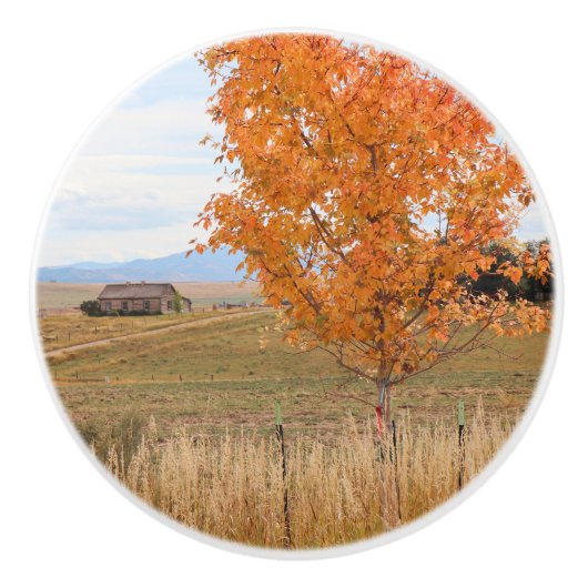 Heller Oktober Keramikknauf (Vorderseite)