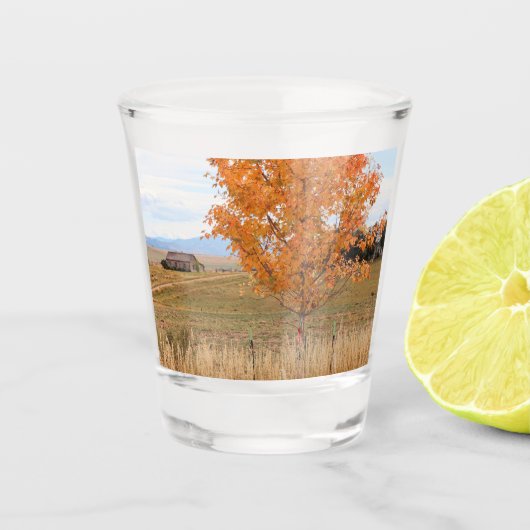 Heller Oktober Schnapsglas (Vorderseite)