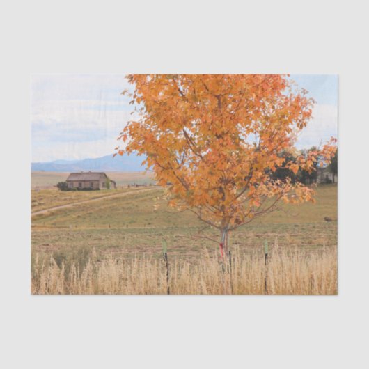 Heller Oktober Seidenpapier (Vorderseite)