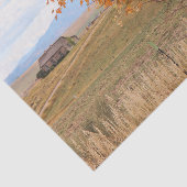 Heller Oktober Seidenpapier (Ausschnitt)