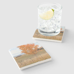Heller Oktober Steinuntersetzer