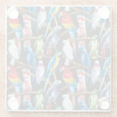 Heller Papagei: tropische Aquarelltapete. Glasuntersetzer (Rückseite)