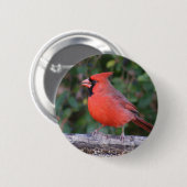 Heller roter Kardinal Button (Vorne & Hinten)