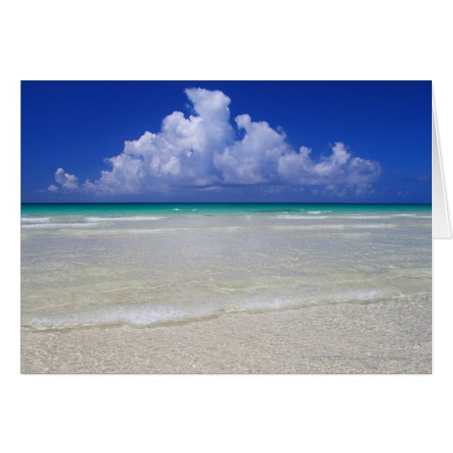 Heller Strand (Vorderseite (Horizontal))