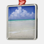 Heller Strand Silbernes Ornament (Links)