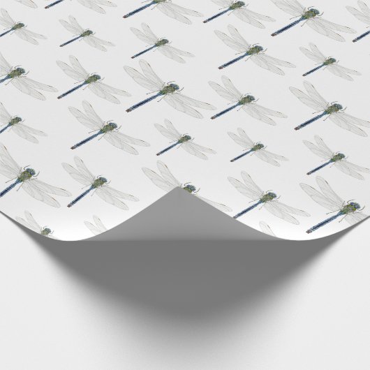 Helles blaues Libellenmuster.  Geschenkpapier (Ecke)