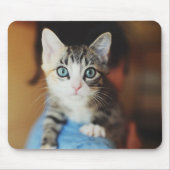 Helles blaues mit Augen Kätzchen Mousepad (Vorne)