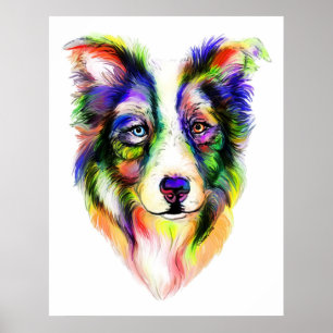 Helles Border-Collie-Plakat Poster