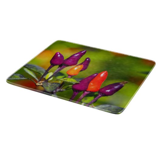 Helles Chili Pfefferglas-Chassis Schneidebrett (Ecke)