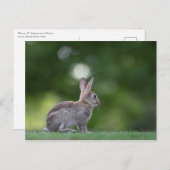 Helles Foto Postkarte (Vorne/Hinten)