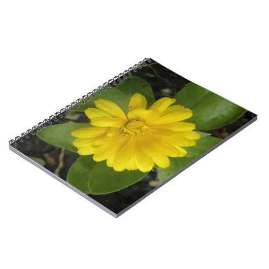 Helles Gelbes Marigment-Notebook Notizblock (Linke Seite)