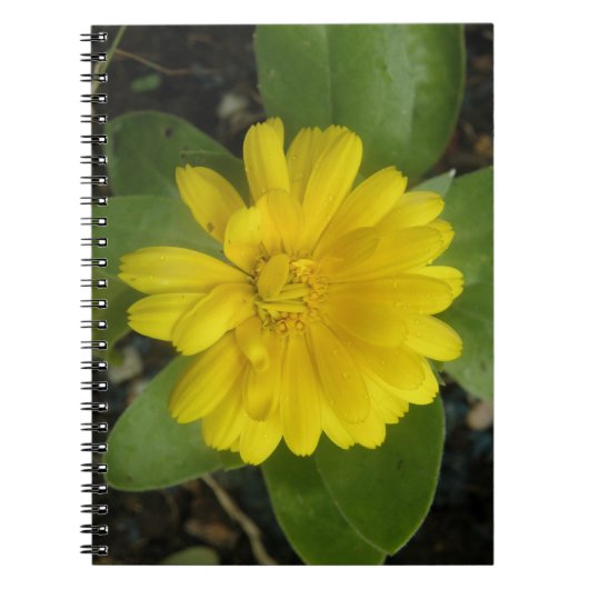 Helles Gelbes Marigment-Notebook Notizblock (Vorderseite)