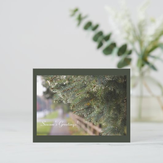 Helles Glanz in Evergreen Needles Moderner Urlaub Postkarte (Stehend Vorderseite)