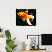 Helles Golden Koi im Dunklen Fischteich Poster (Heimbüro)