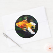 Helles Golden Koi im Dunklen Fischteich Runder Aufkleber (Umschlag)