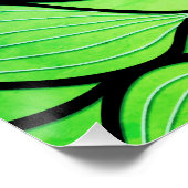 Helles Grünes Blau kreatives Verlass-Muster Poster (Ecke)