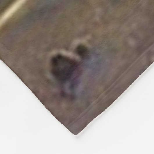 HELLES HAUS FLEECEDECKE (Ecke)