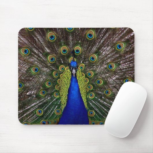 Helles königliches Pfauvogelfeder-Tier-Foto Mousepad (Mit Mouse)