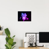 Helles Lila Iris auf dem dunklen Background Foto Poster (Heimbüro)