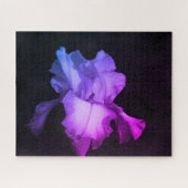 Helles Lila Iris Foto Puzzle (Horizontal)